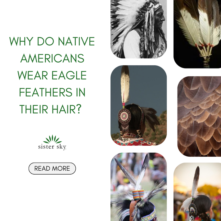 Why Do Native Americans Wear Eagle Feathers in Their Hair? Sister Sky