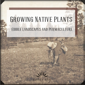 Growing Native Plants - Edible Landscapes and Permaculture