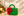 2026 MinkiSoft™ Holiday Gift Set